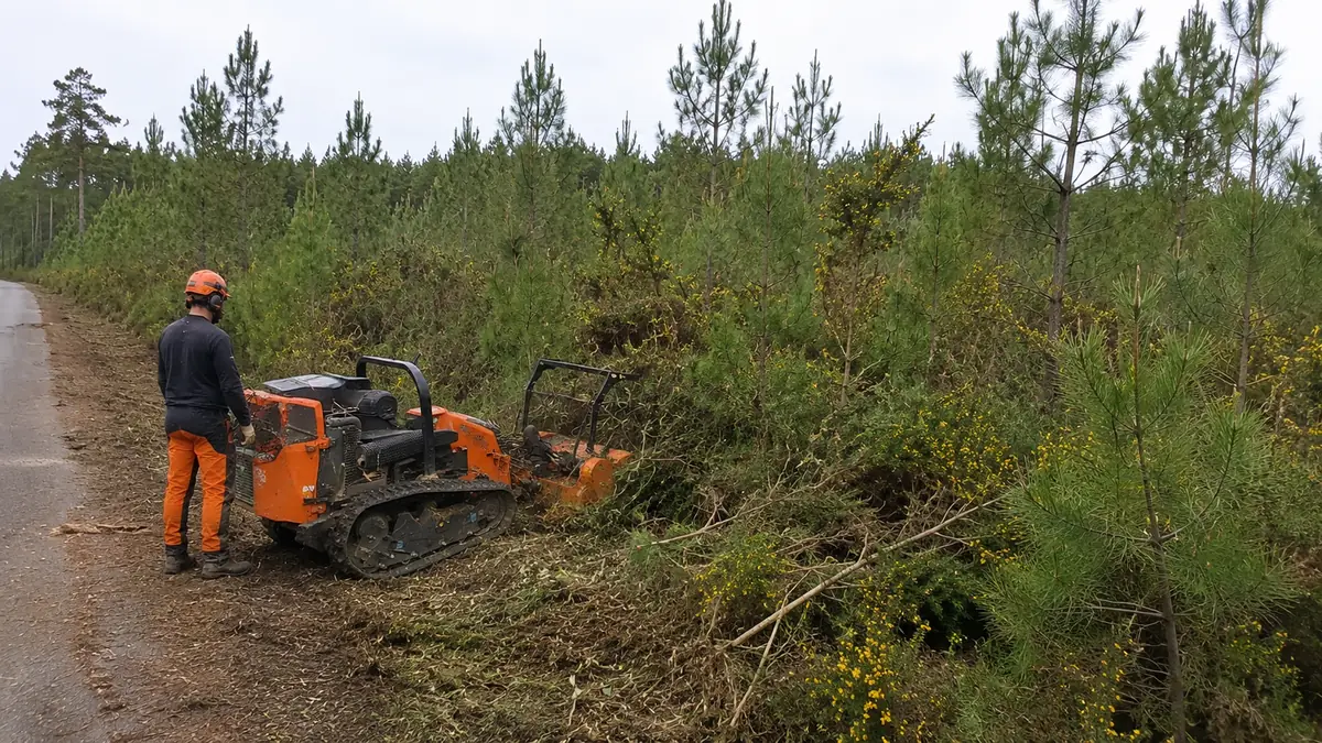 Broyeur forestier dégageant le bas-côté d'une pinède landaise