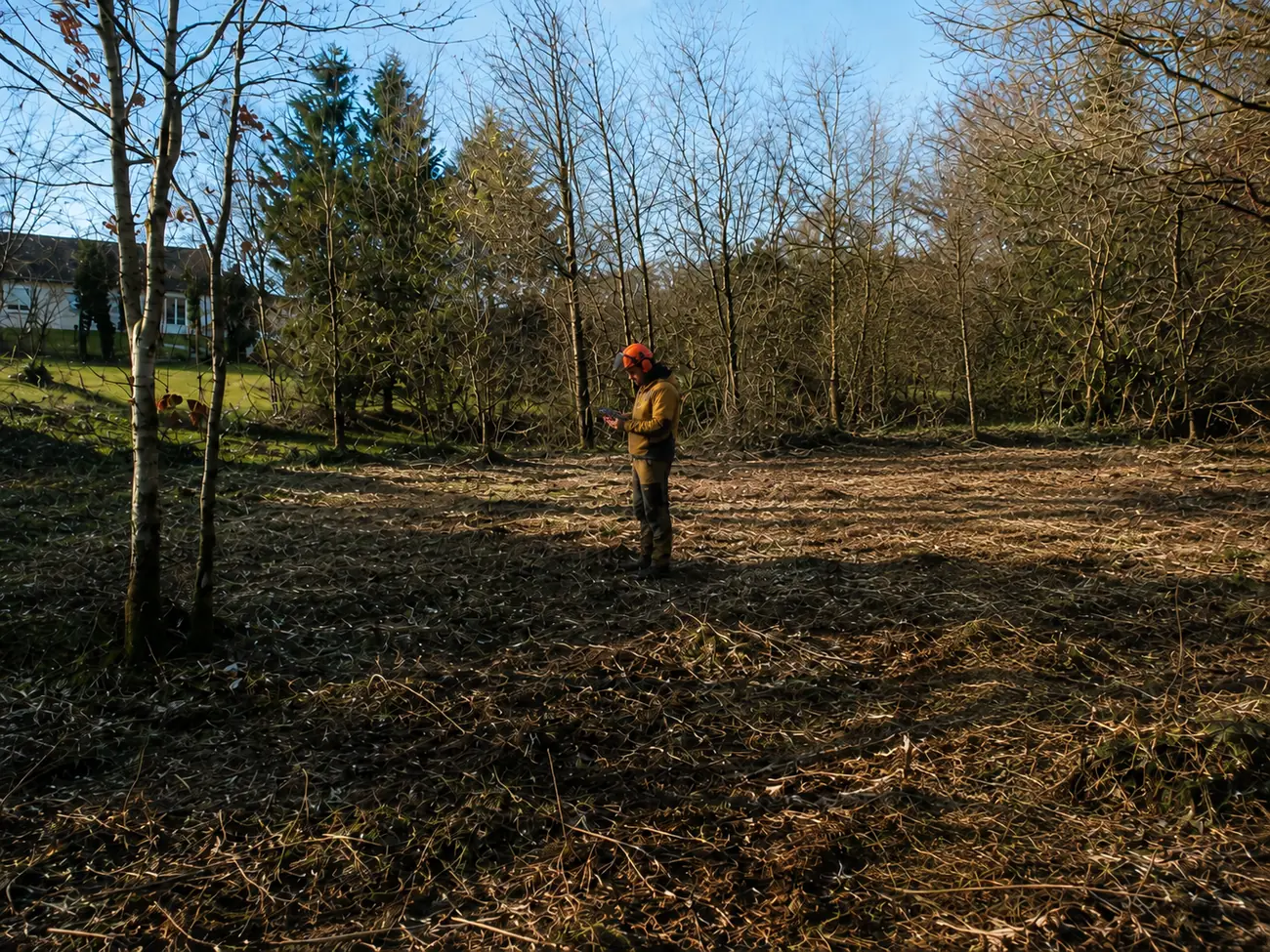 La même parcelle après débroussaillement, contrôle du chantier sur place